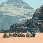 WADI RUM