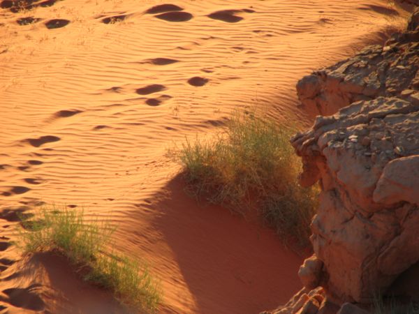 Wadi-Rum