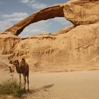 Wadi Rum