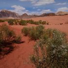 Wadi Rum