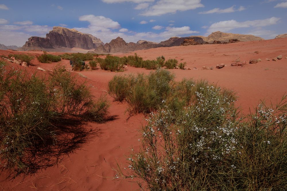 Wadi Rum