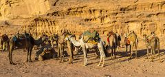 Wadi Rum - Das Lager