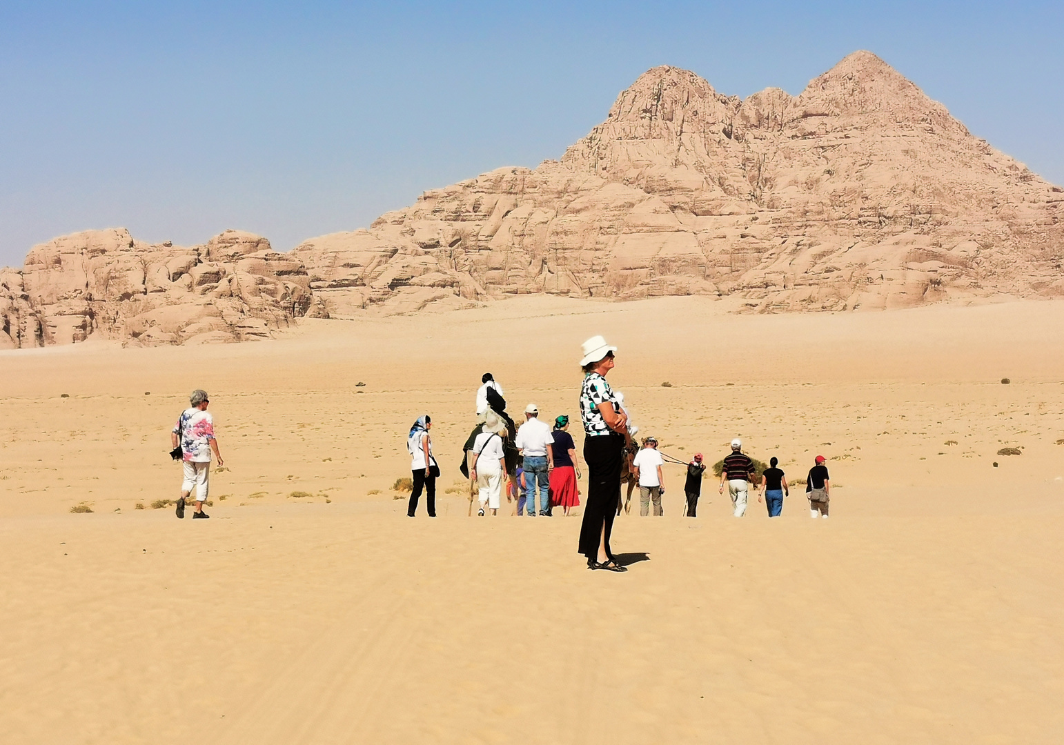 Wadi Rum - die Karawane......