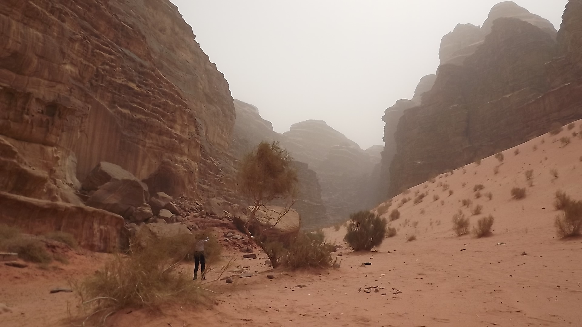 wadi rum