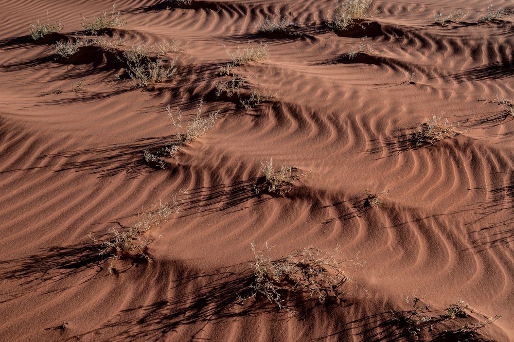 Wadi Rum