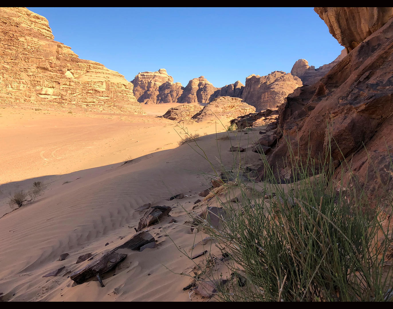 Wadi Rum I