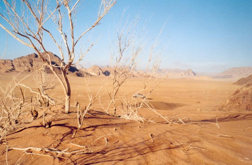 Wadi Rum Jordanien