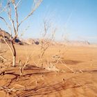 Wadi Rum Jordanien