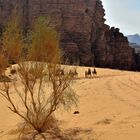 Wadi Rum Jordanien