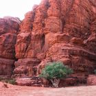 wadi rum (jordanien)