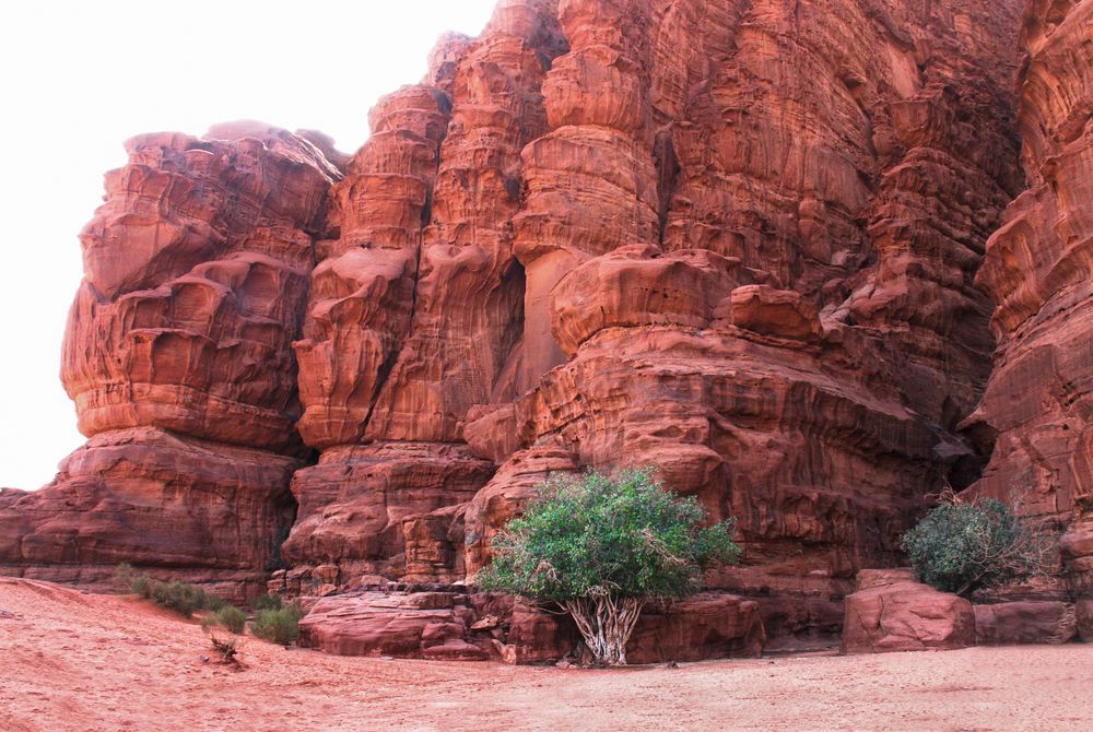 wadi rum (jordanien)