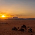 Wadi Rum, Jordanien