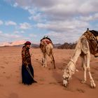 Wadi Rum Kamele auf der Weide