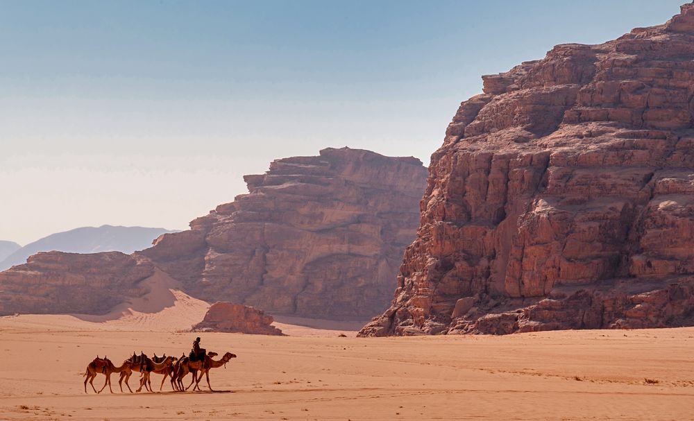 Wadi Rum Kamelkarawane