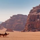 Wadi Rum Kamelkarawane