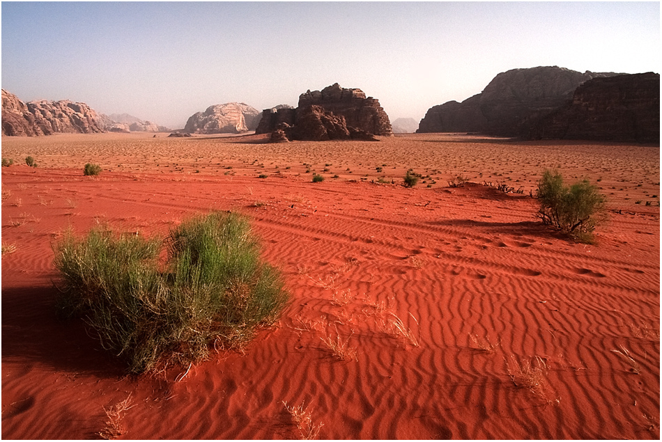 ~ Wadi Rum ll ~