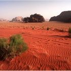 ~ Wadi Rum ll ~