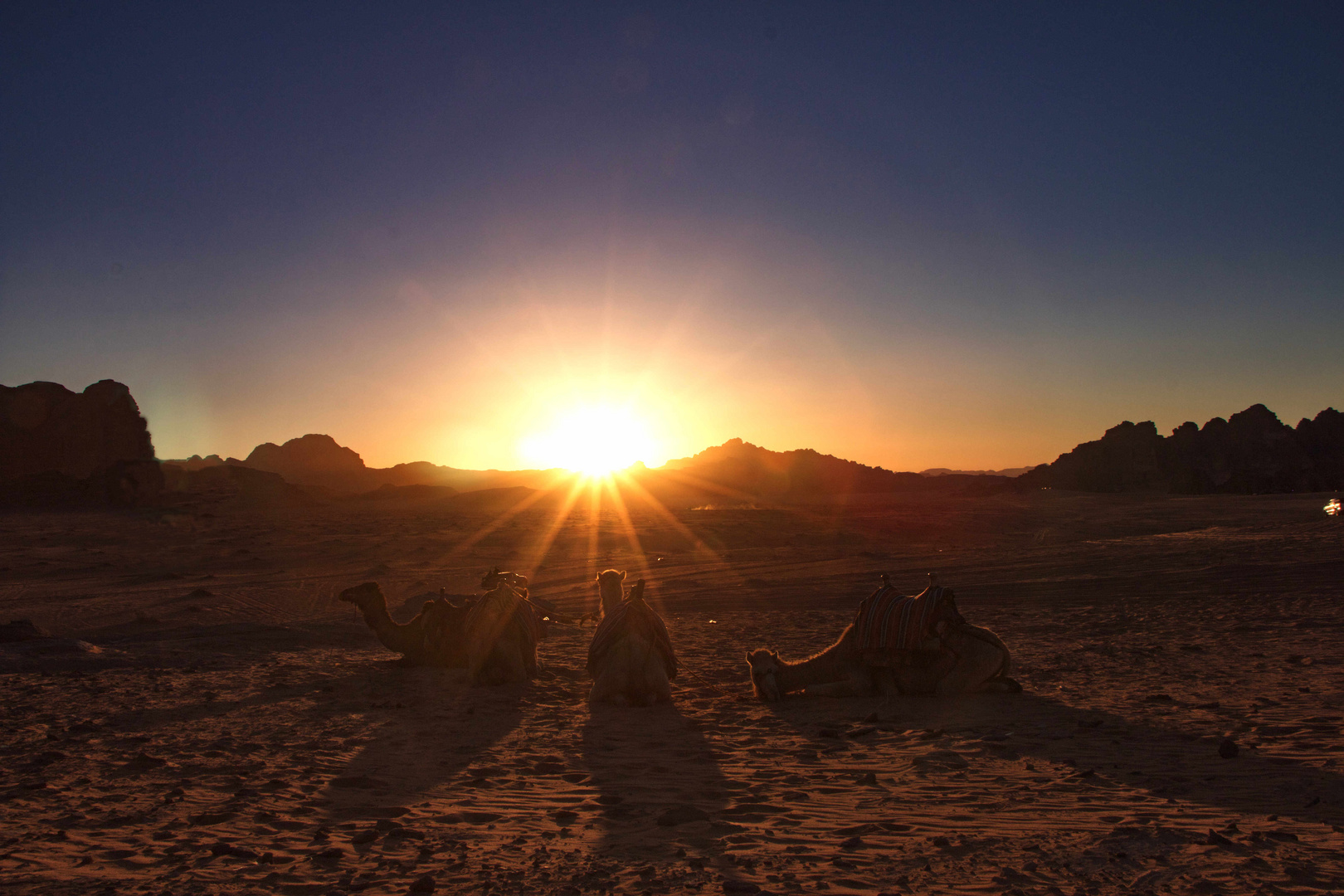 Wadi Rum: sunset