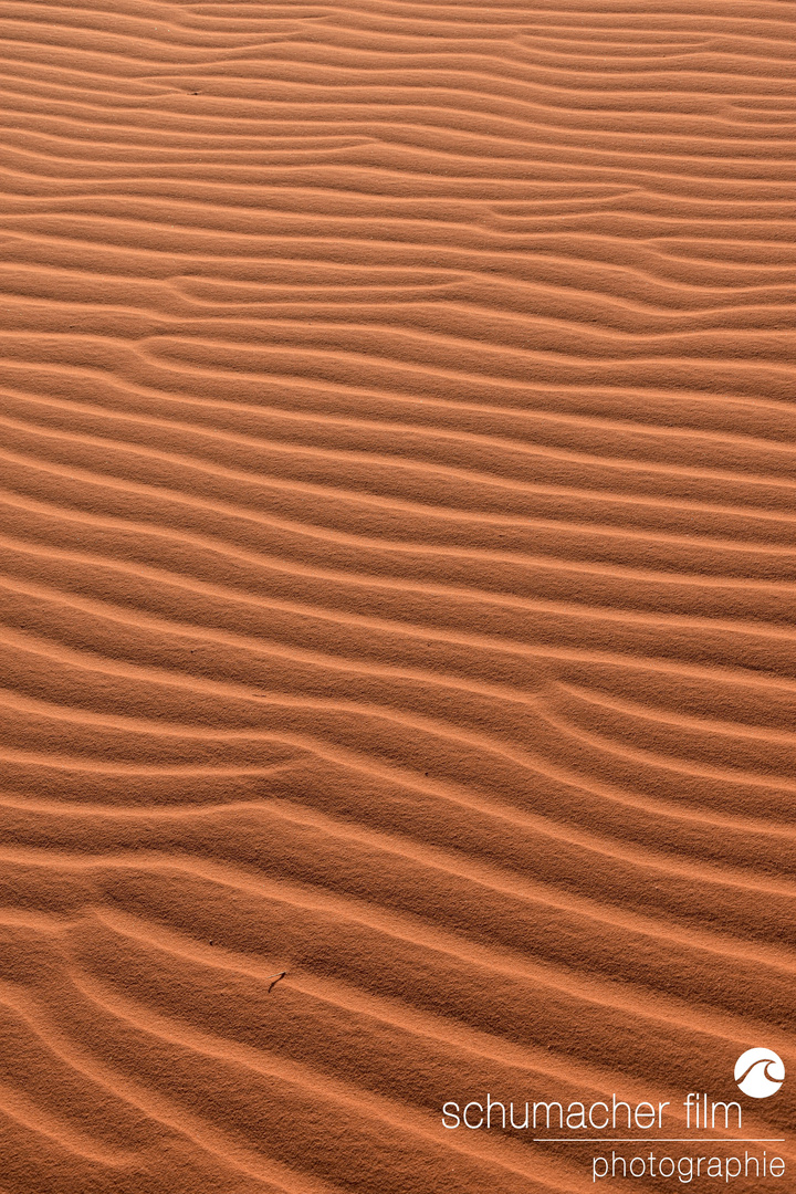 Wadi Rum - Wüstensand