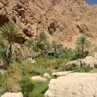 Wadi Shab