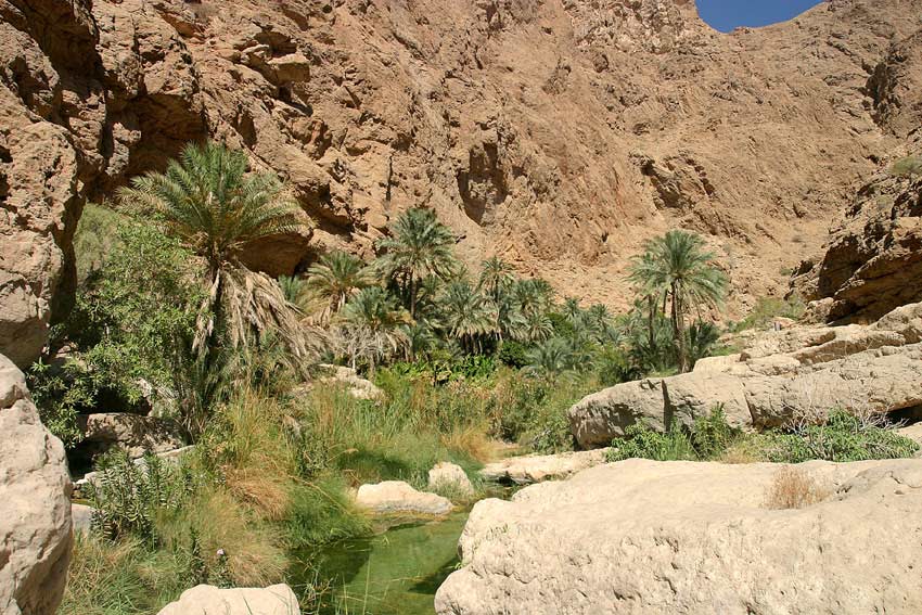 Wadi Shab