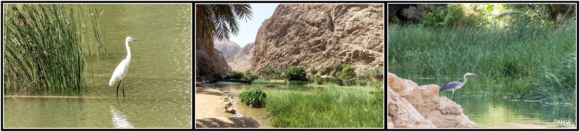 Wadi Shab in der Nähe des Ortes Tiwi (Oman)