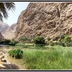 Wadi Shab in der Nähe des Ortes Tiwi (Oman)