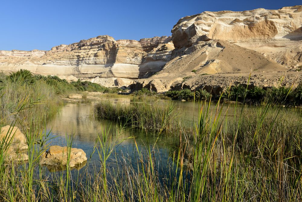 Wadi Shuwaymiya