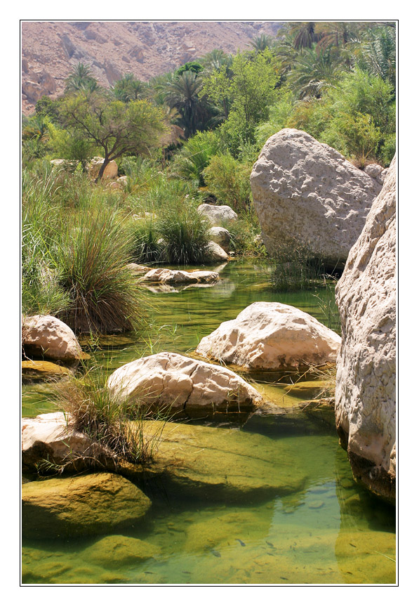 Wadi Tivi von  Kurt Huber