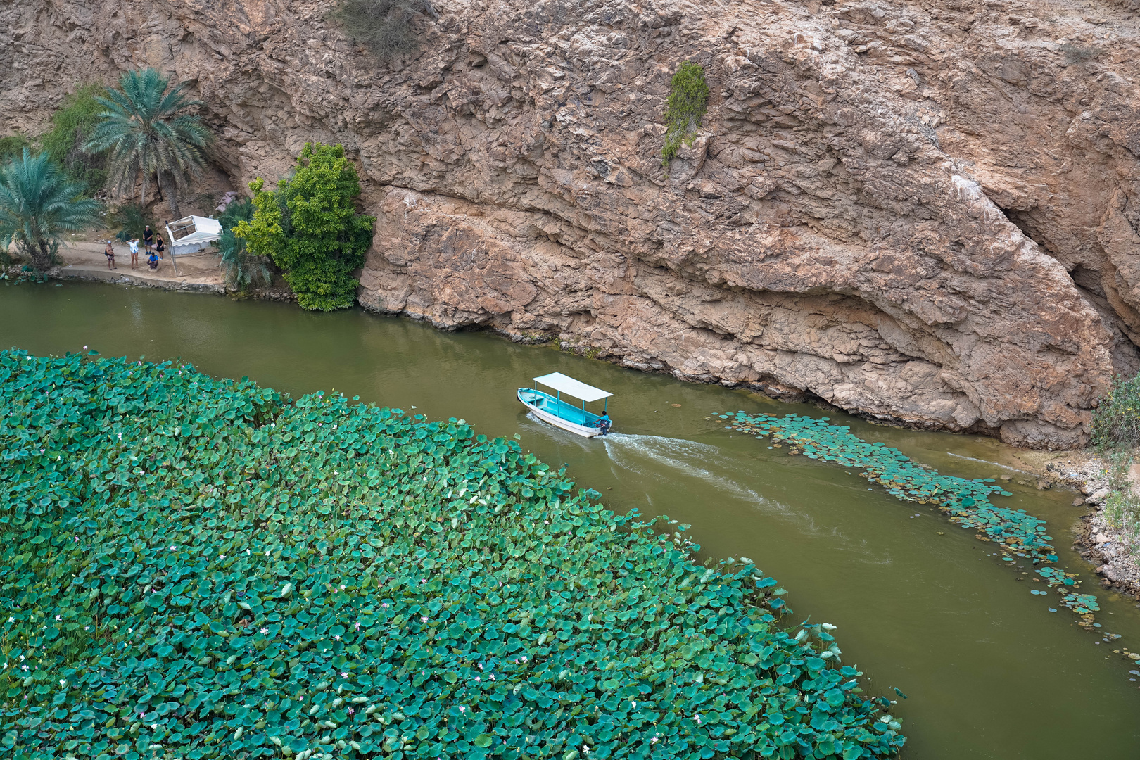 ..Wadi Tiwi..