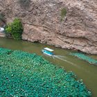 ..Wadi Tiwi..