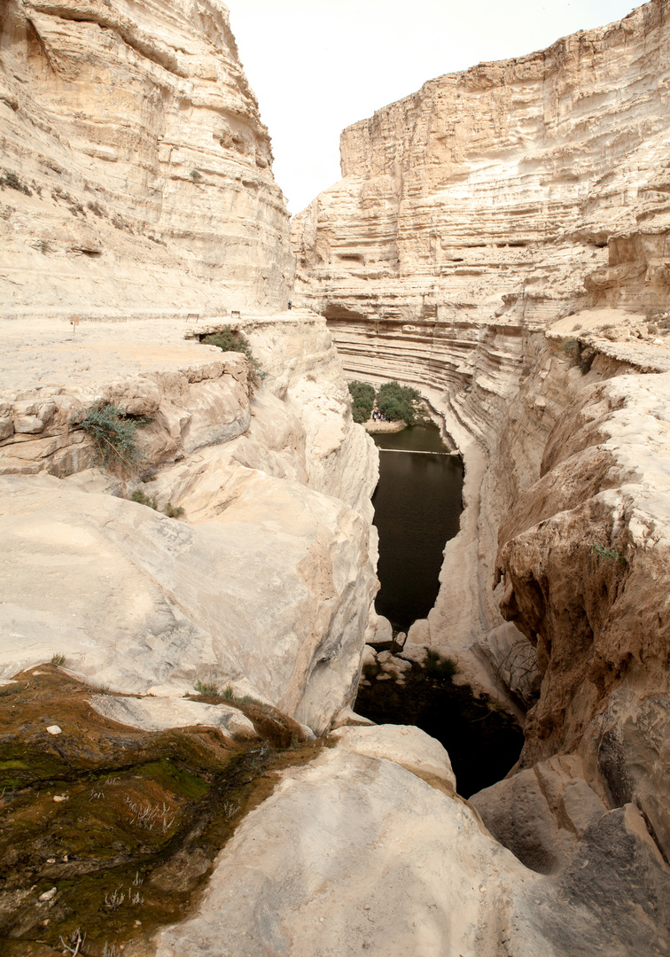 Wadi Zin 4