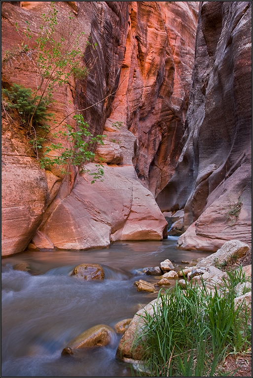 Wading through Kanarra Creek