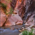 Wading through Kanarra Creek