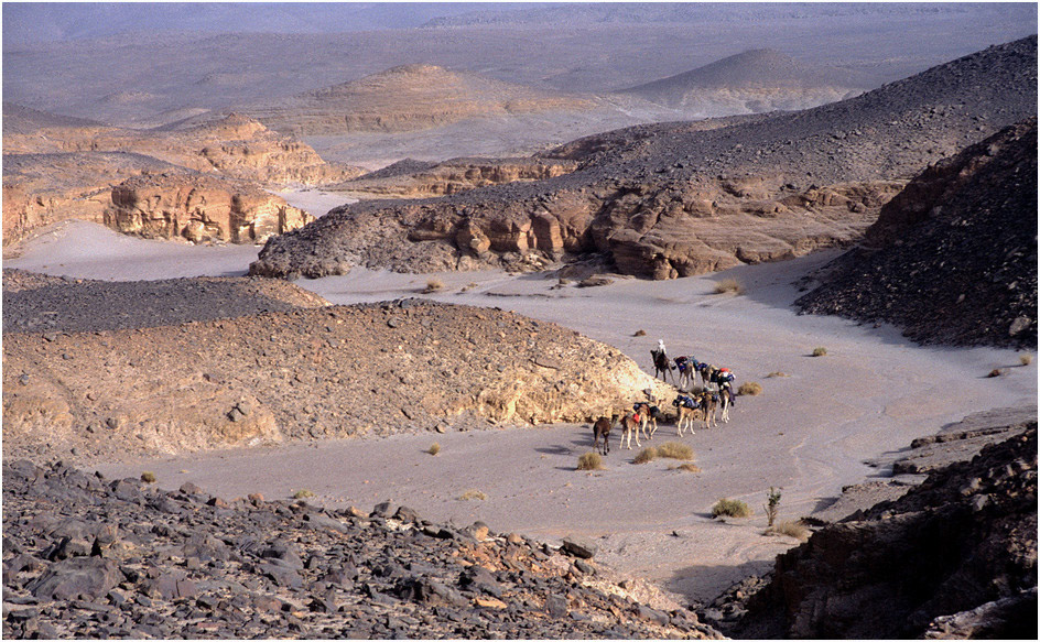 Wadis - die Verkehrswege der Bergwüsten