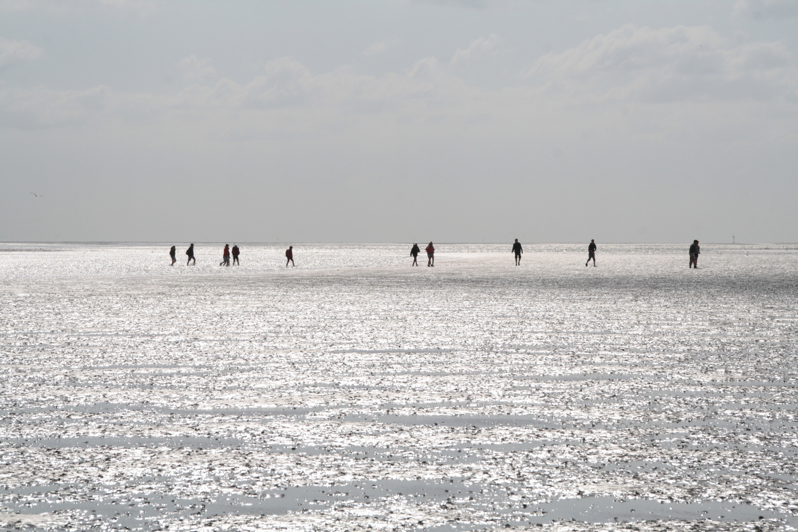 wadlopen