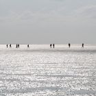 wadlopen