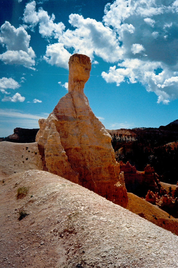 Wächter Bryce Canyon