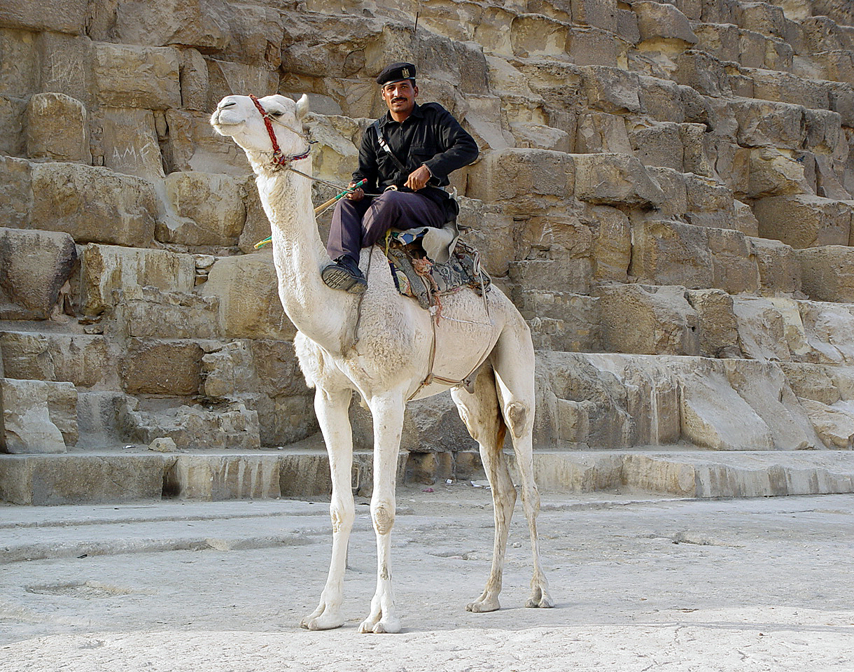 Wächter der Pyramiden (Ägypten)