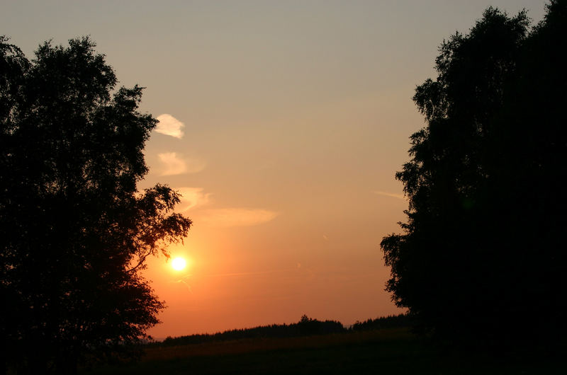 Wächter der Sonne