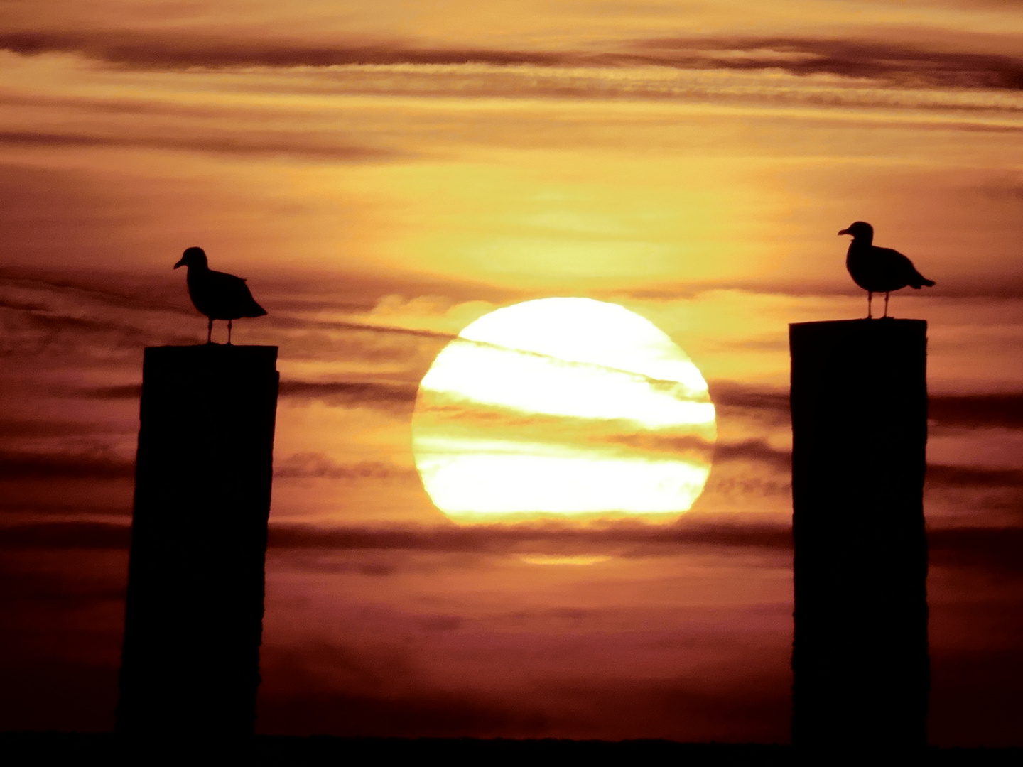 Wächter der Sonne