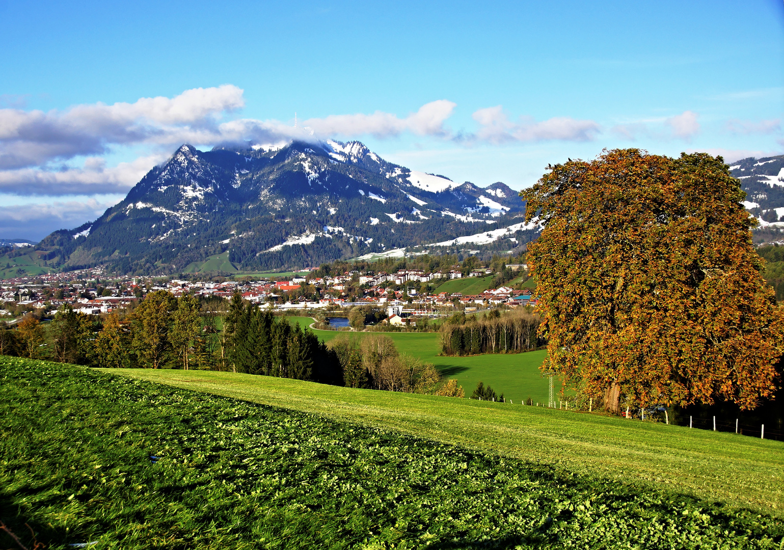 Wächter des Allgäus