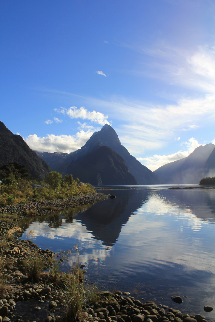 Wächter des Milford Sound