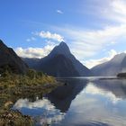 Wächter des Milford Sound