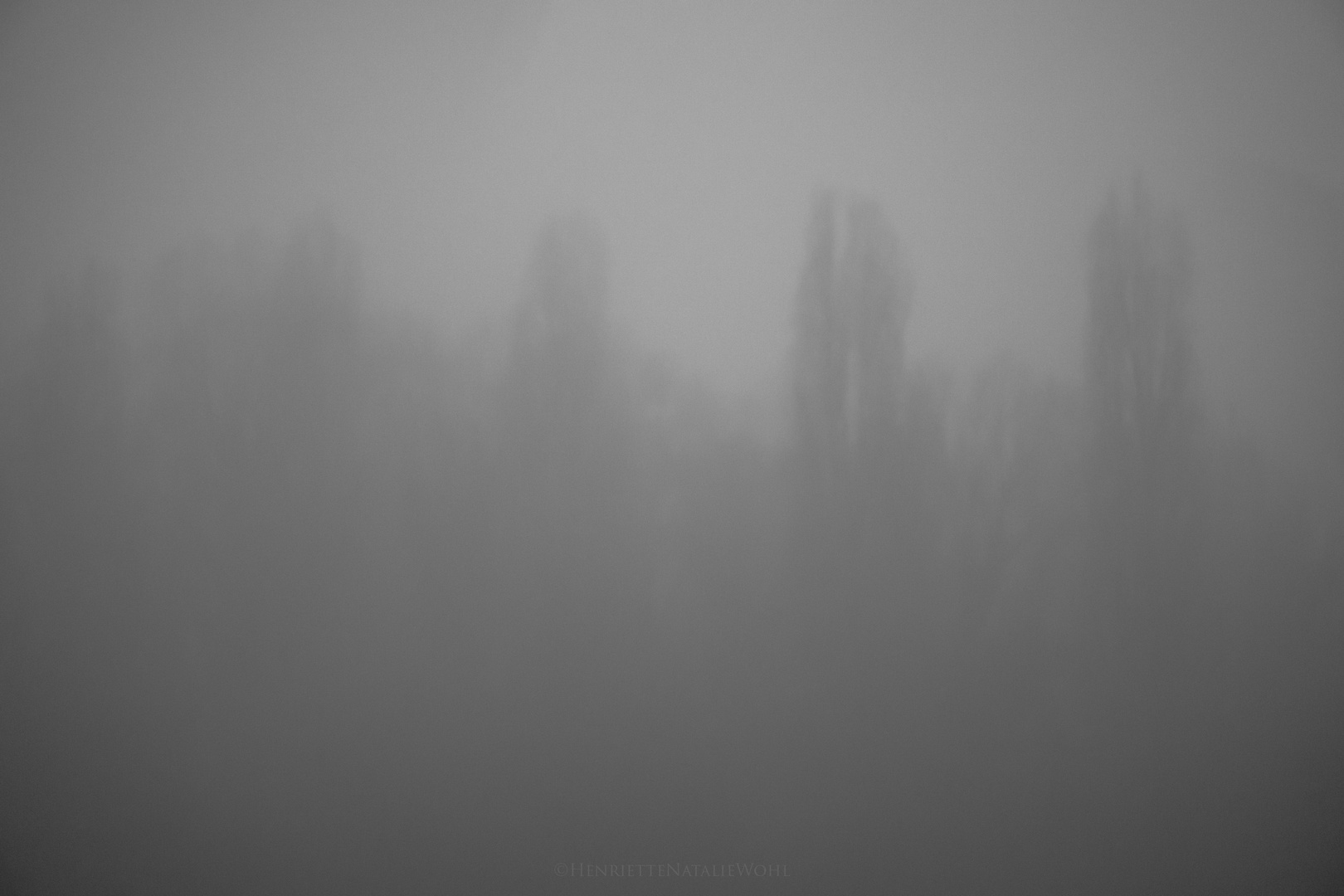 Wächter des Nebels