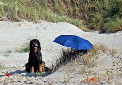 Wächter des Strandes