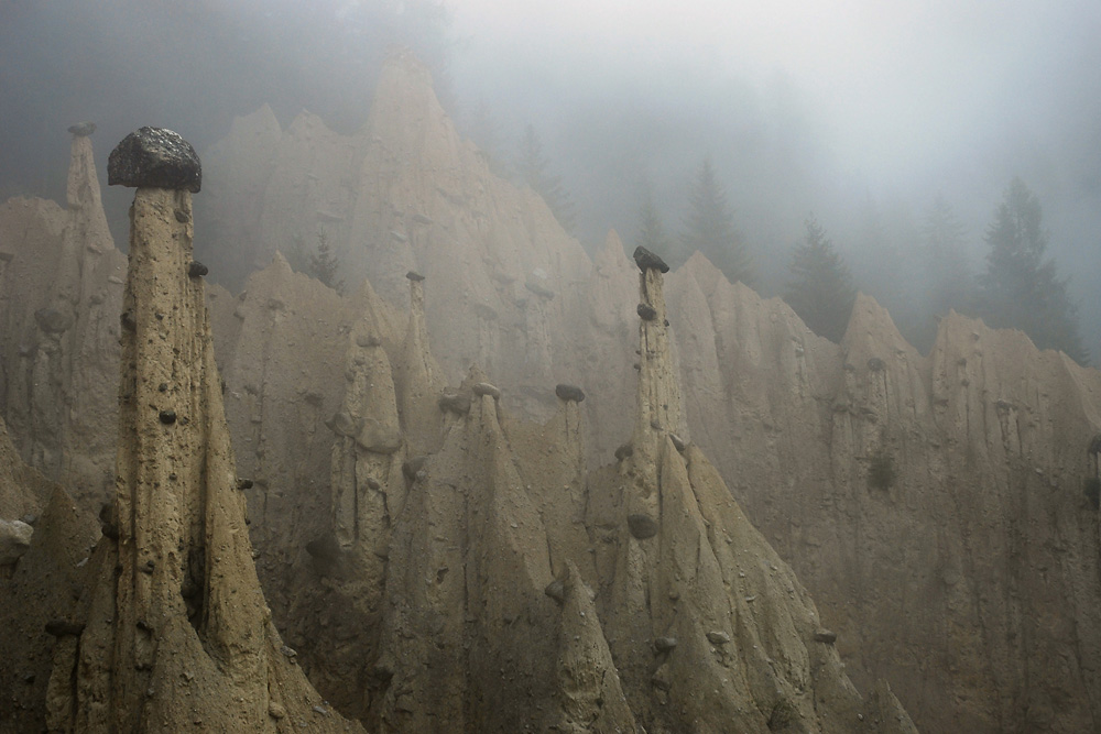 Wächter im Nebel