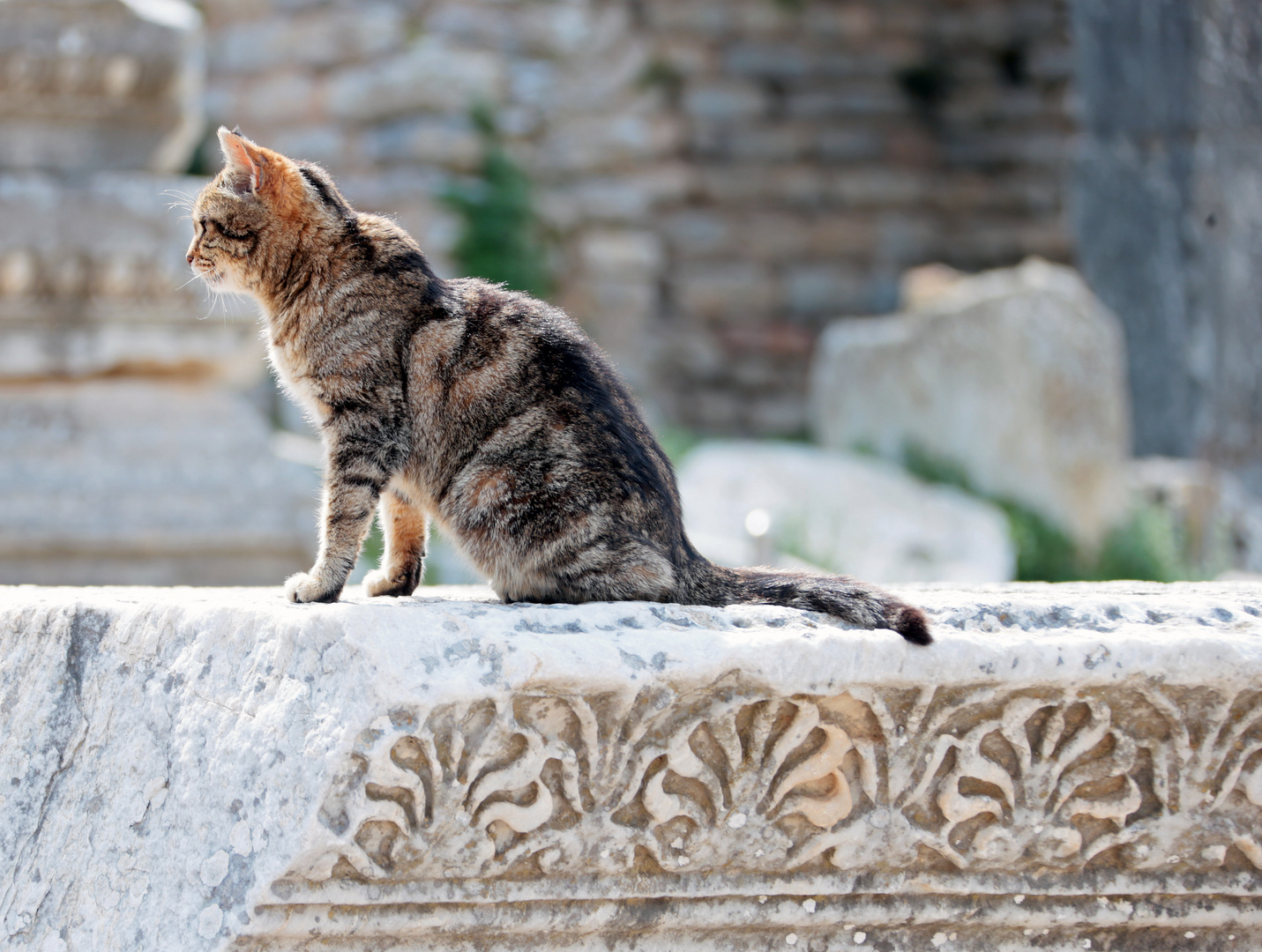 Wächter von Ephesos - Türkei