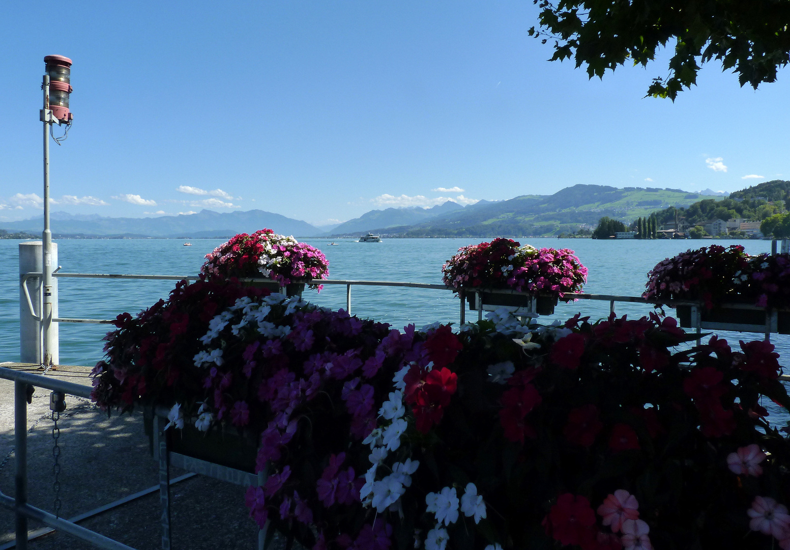 Wädenswil..02