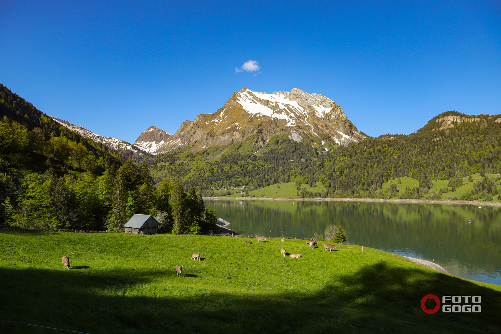 Wägitalersee_9713